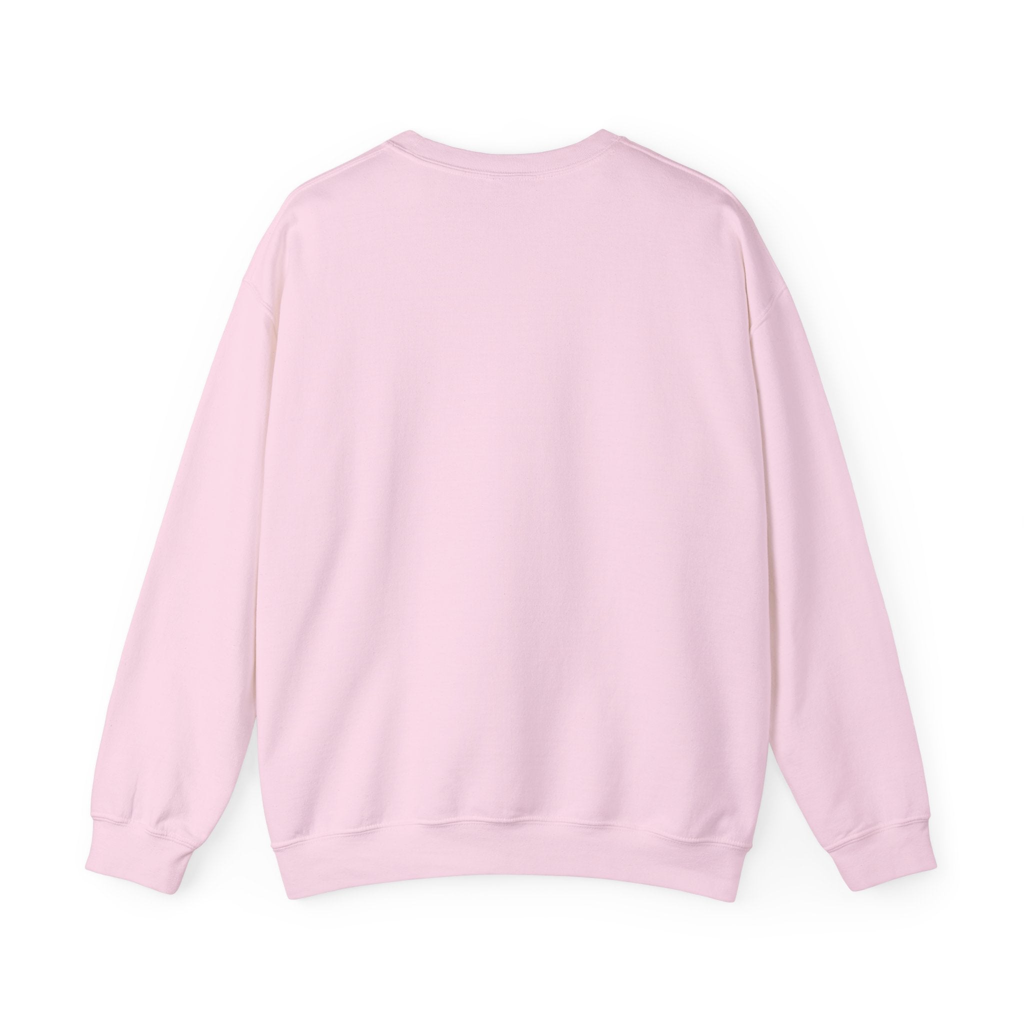 Embroidered Crewneck Sweatshirt - 'Chase Your Dream' Motivational Graphic